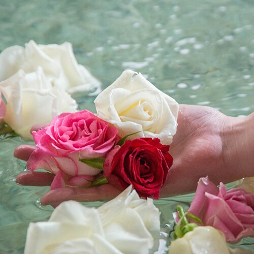 [Large public bath] A fragrant rose bath with freshly picked roses floating in it every morning.