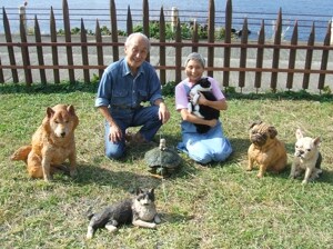 我的家人：與橋本美緒作品中的動物們在一起