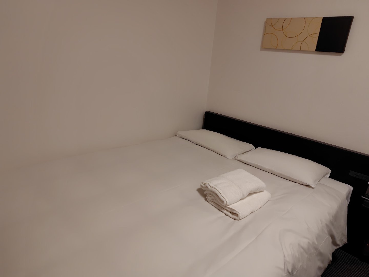 8155.jpg
