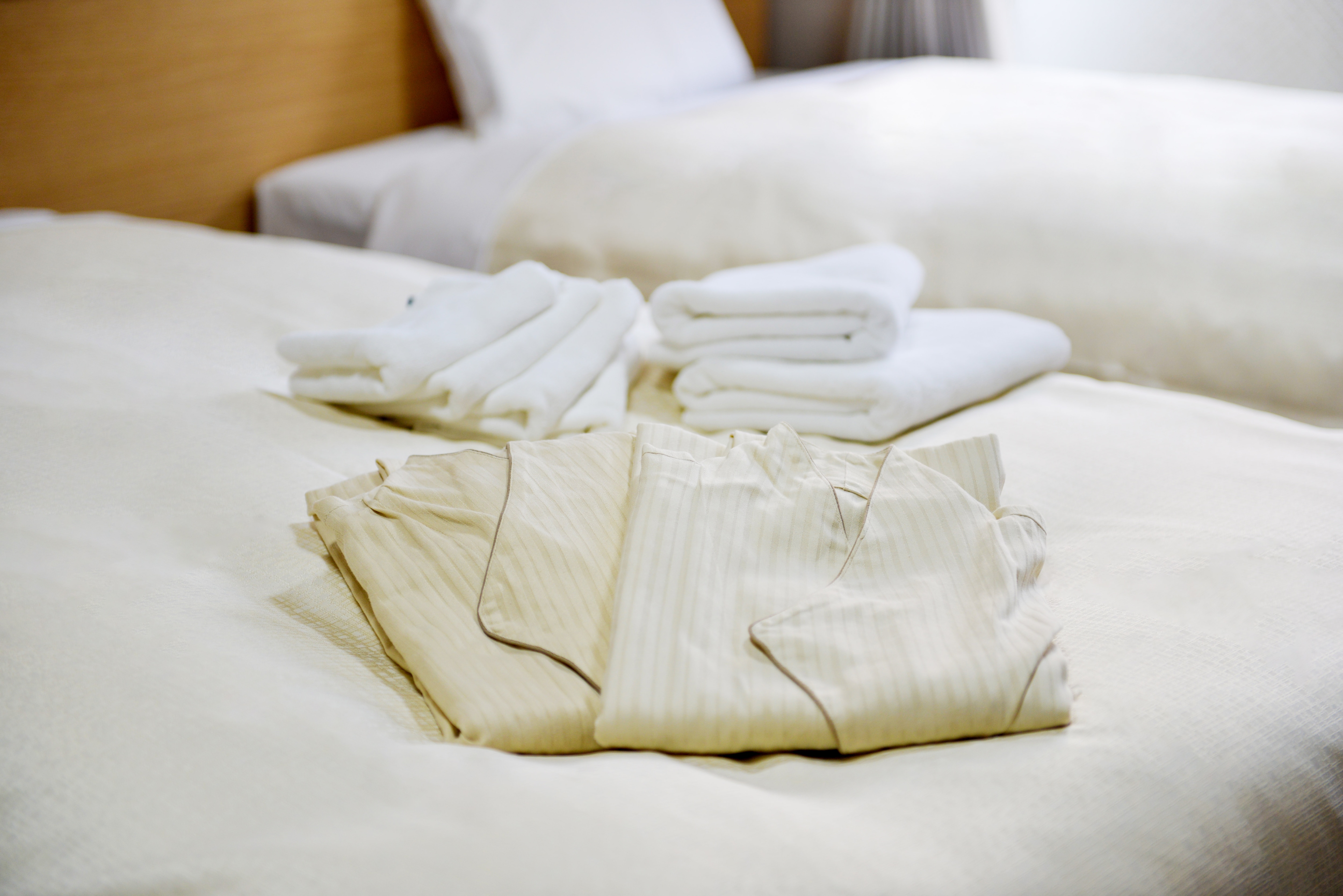 Guest room: Twin (Annex, furniture and appliances included)