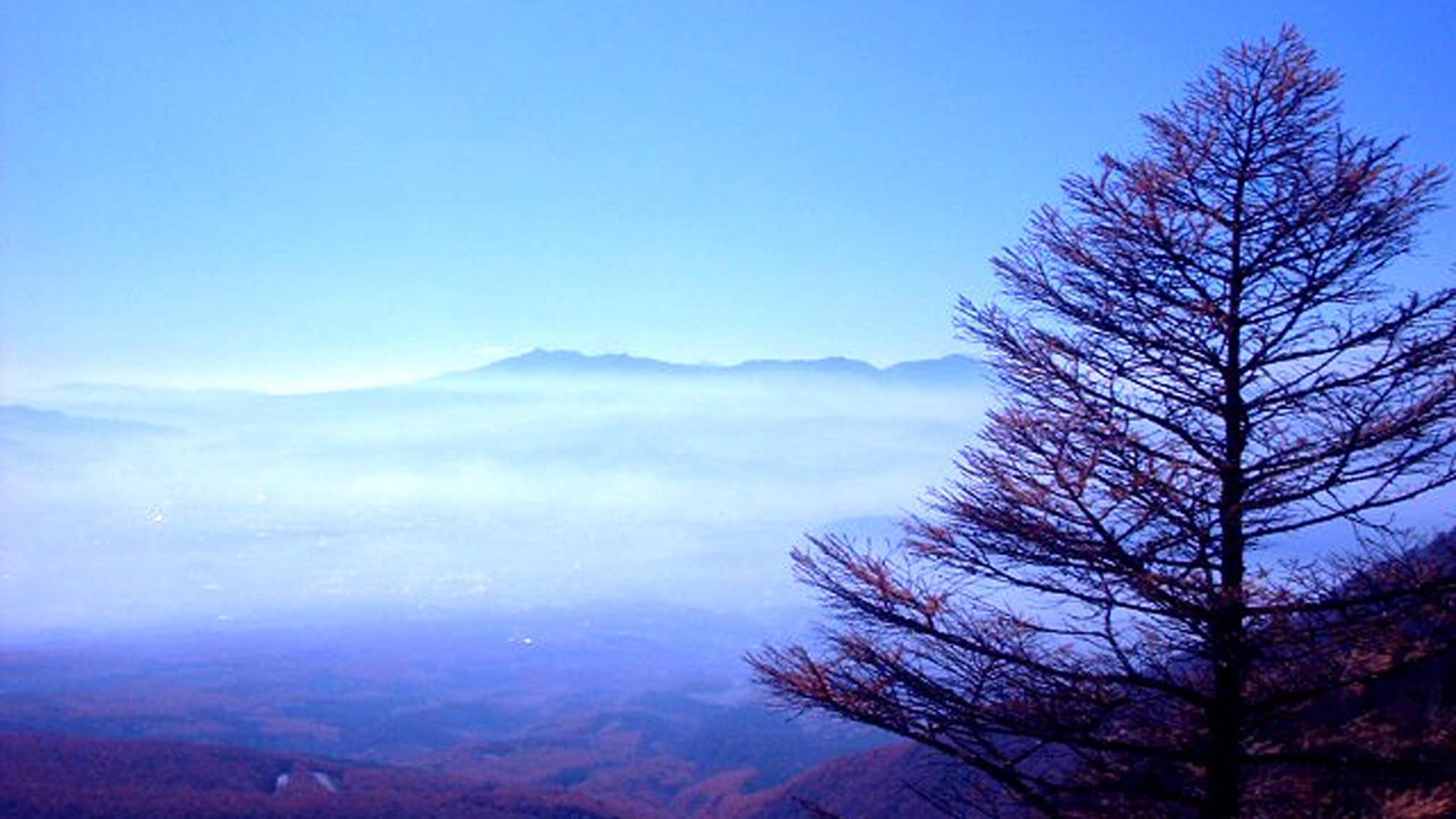 Takamine Plateau