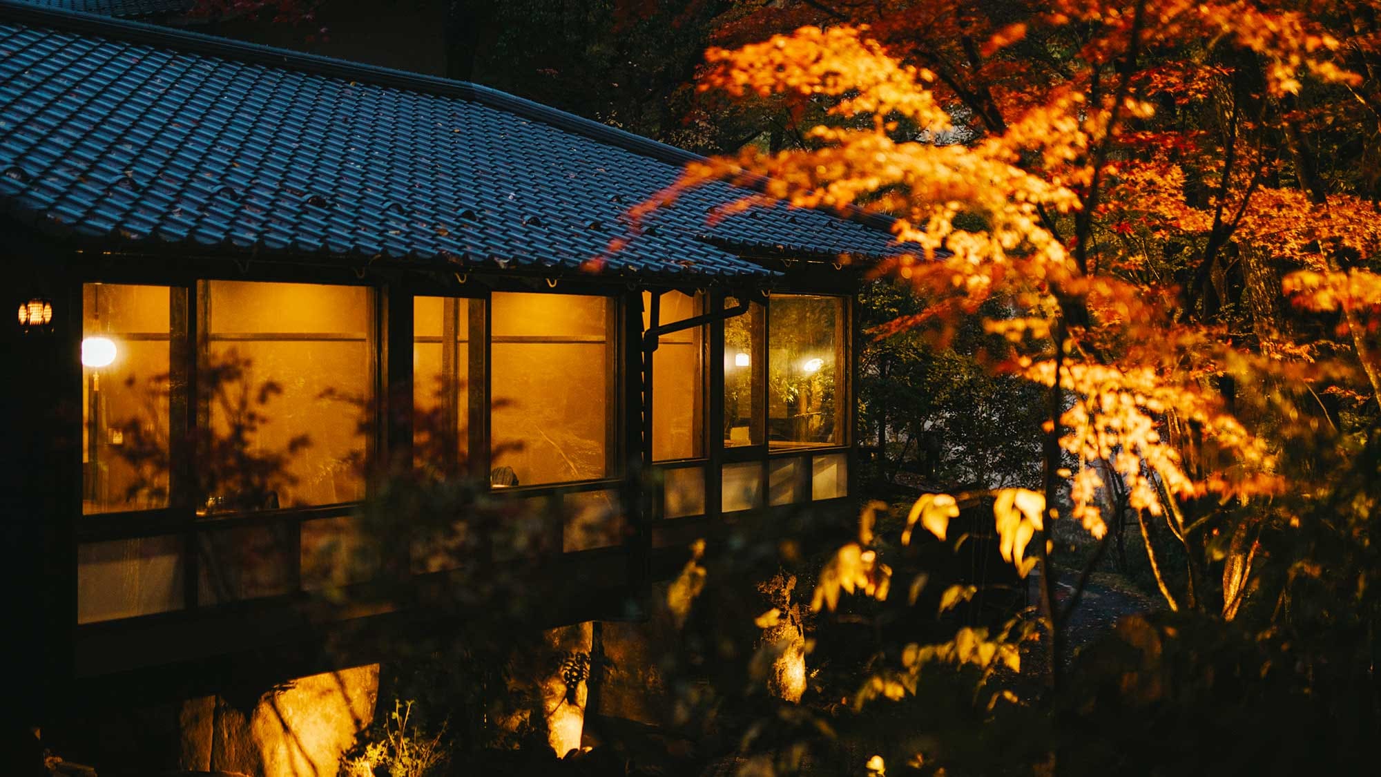 [Annex/Corridor] At night, the sparkling vegetation is lit up, creating a fantastical landscape.