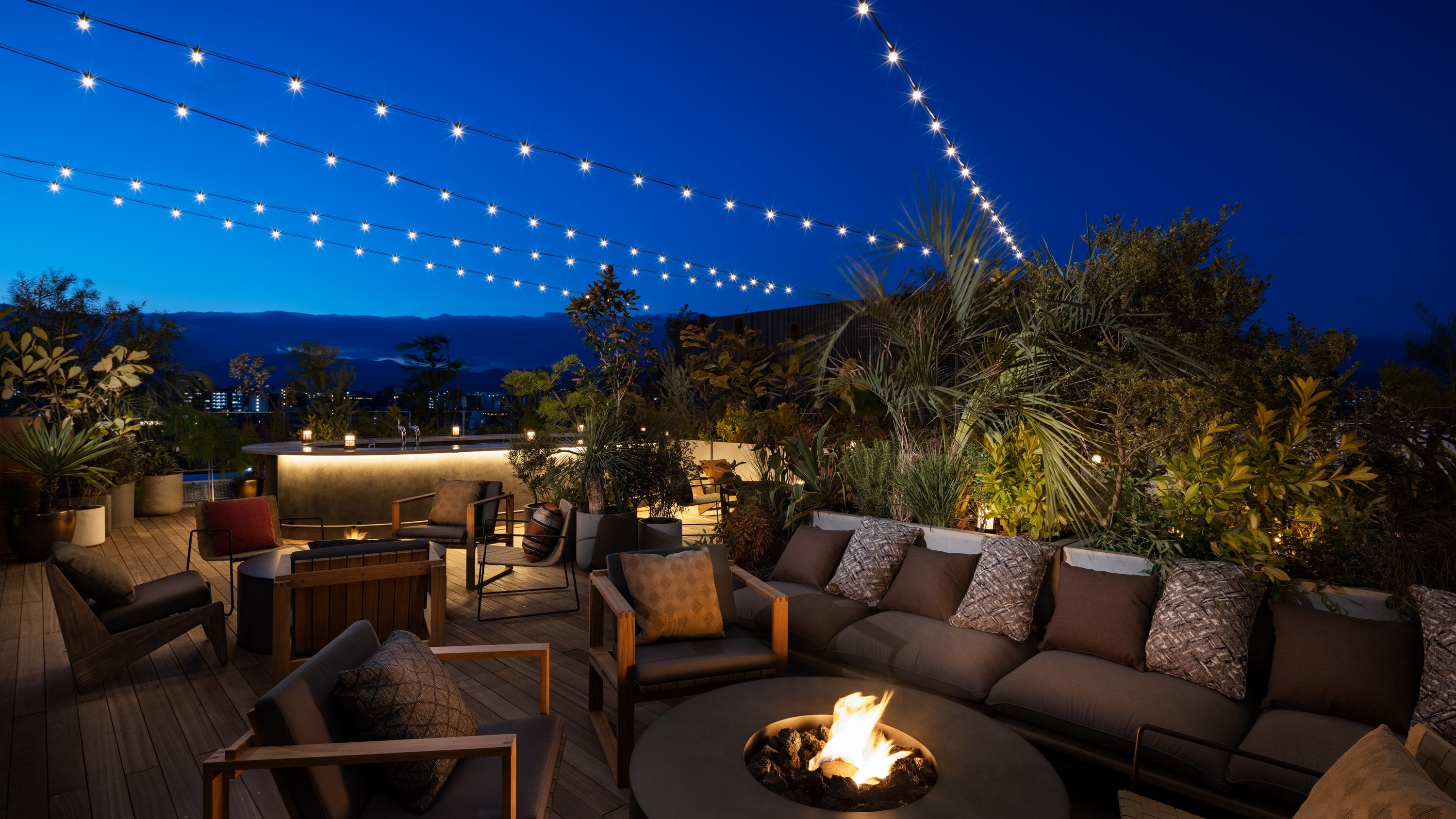 ルーフトップバー