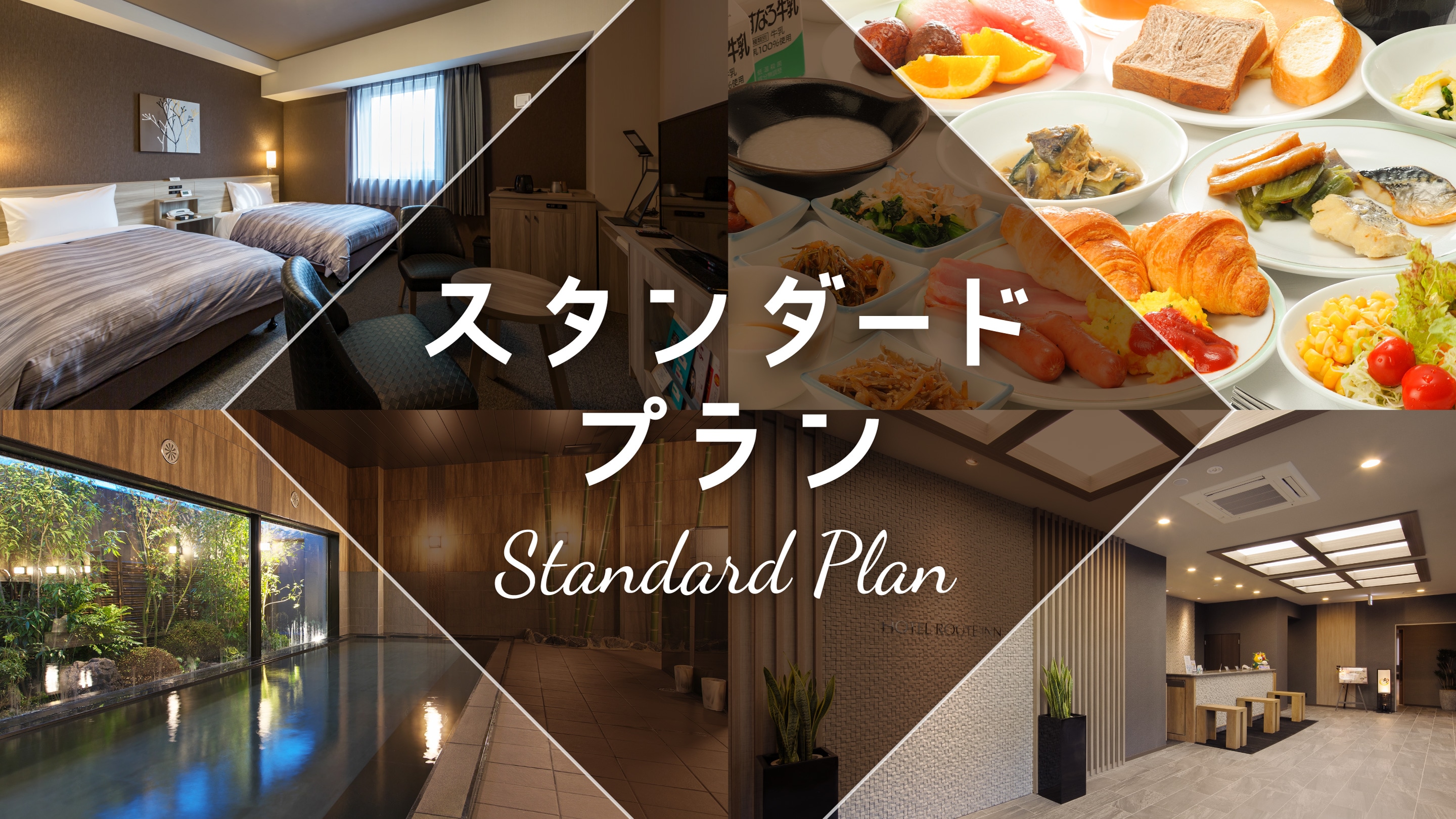 Standard Plan