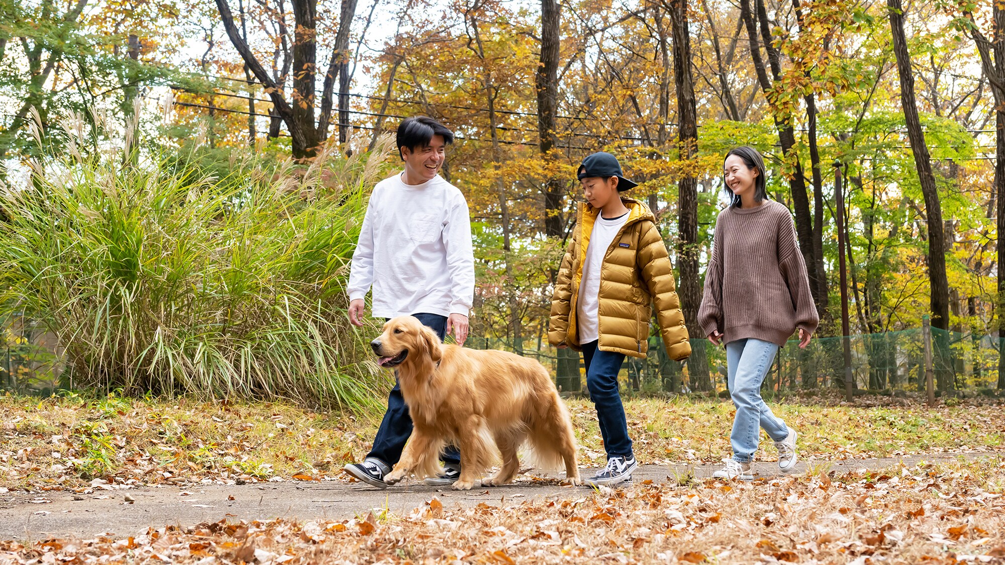 即使你平時不散步，今天全家♪