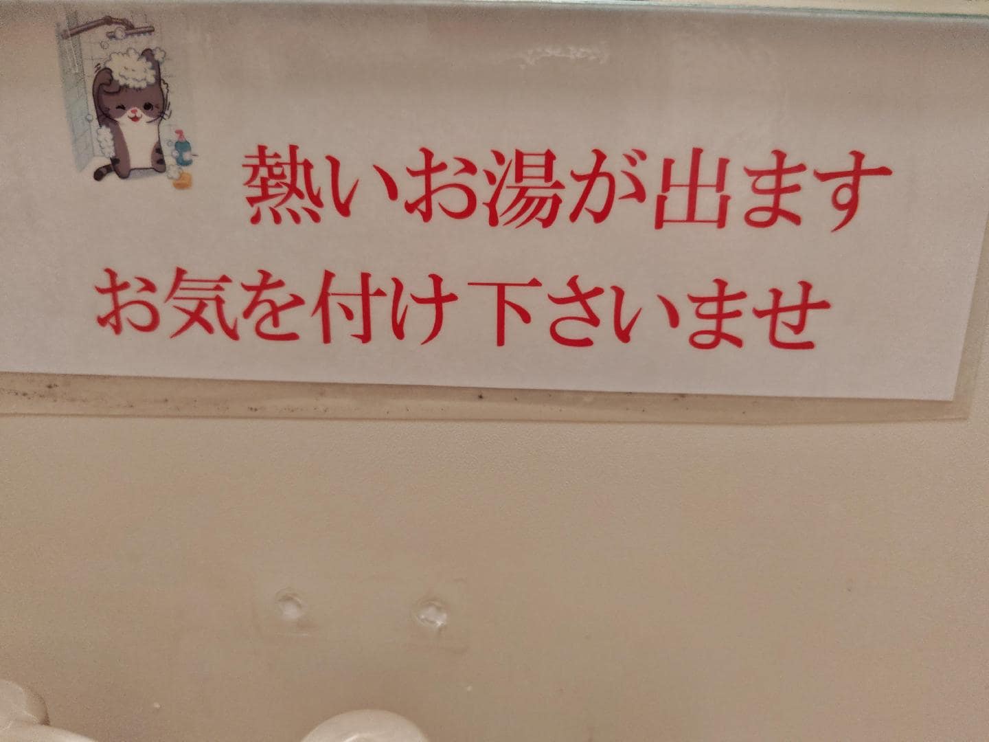 1000009719.jpg