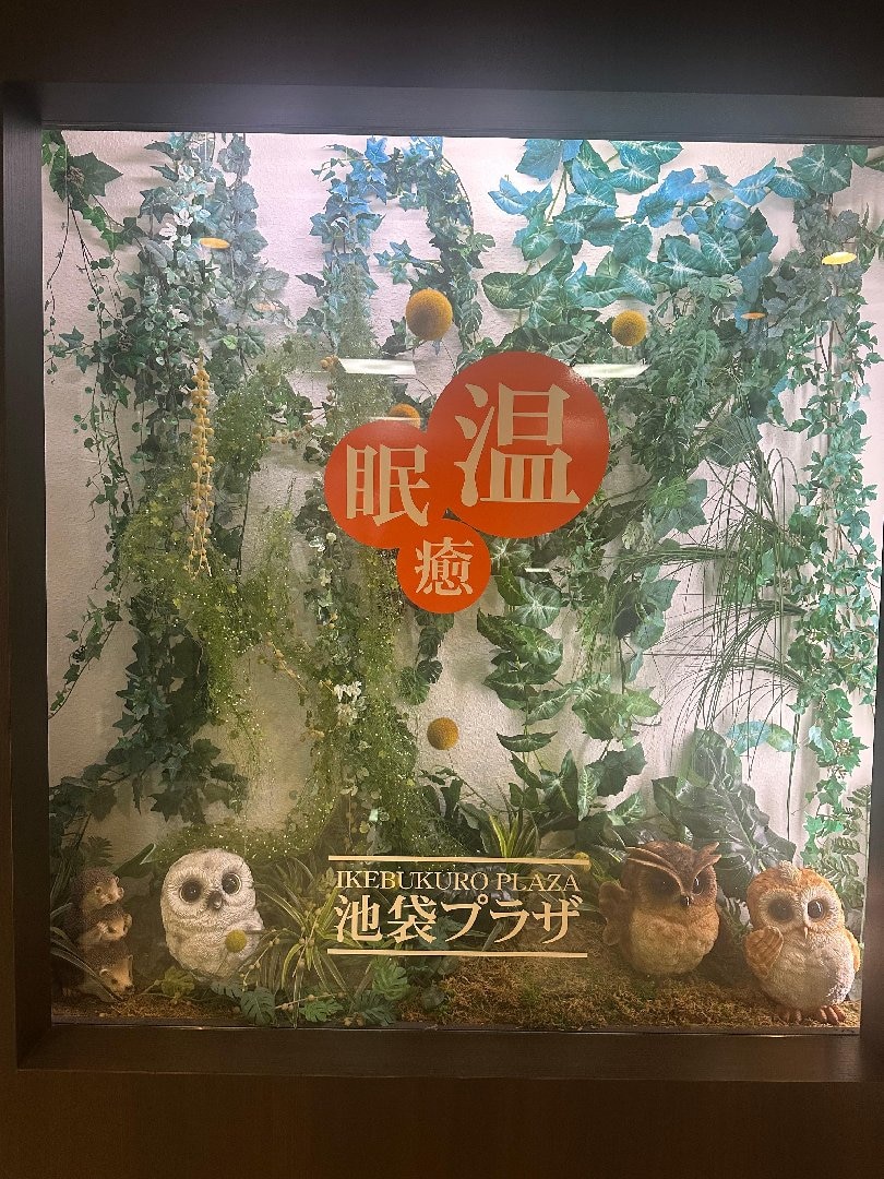 IMG_7638.jpeg