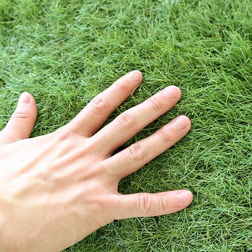 * [Dog run] Soft and fluffy artificial turf