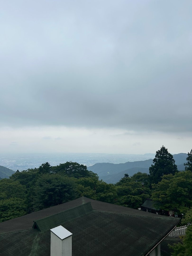 IMG_1217.jpeg