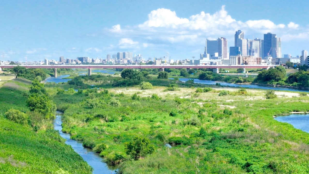 Scenery of the Tama River