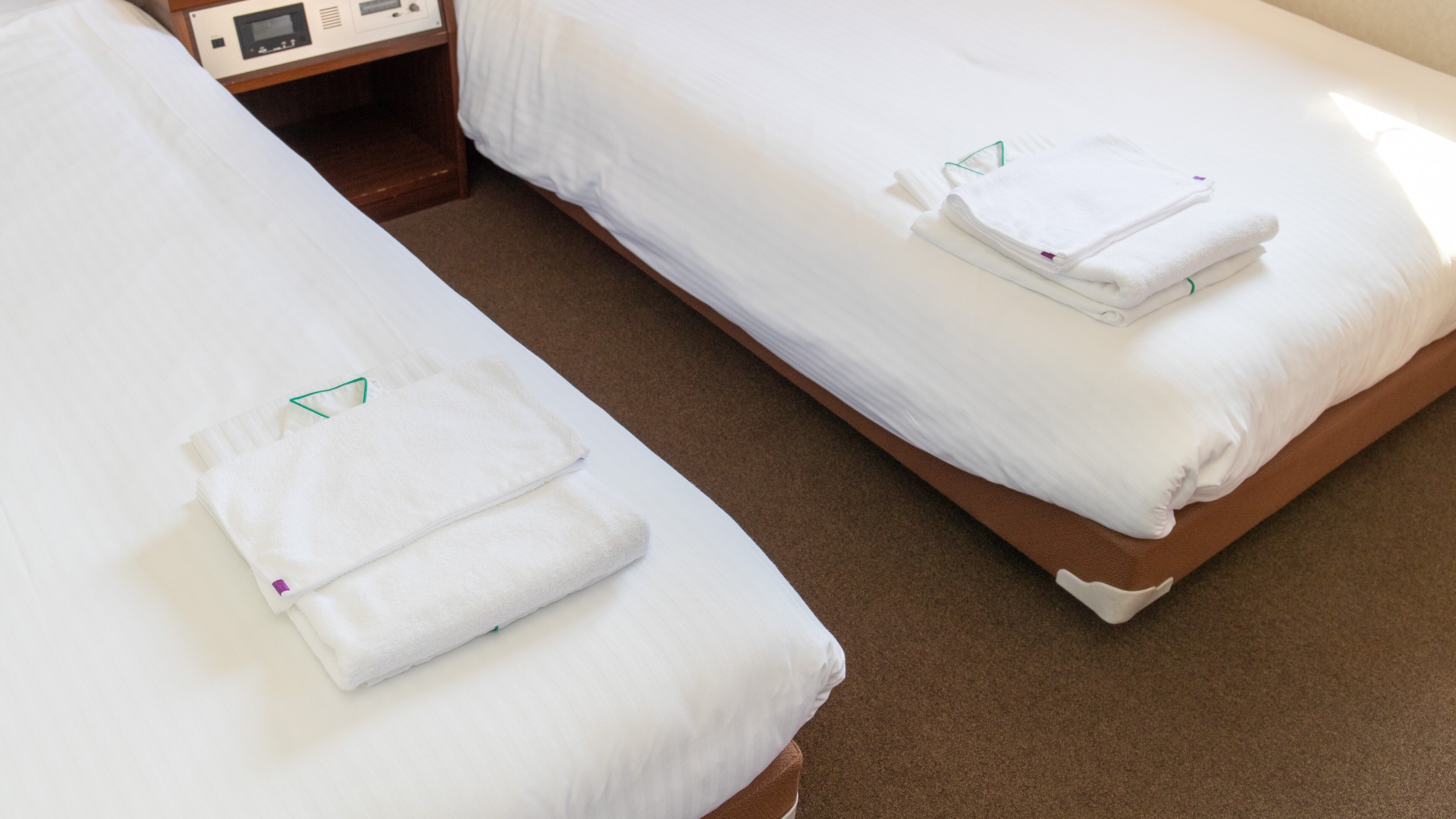 [Non-smoking] Twin room