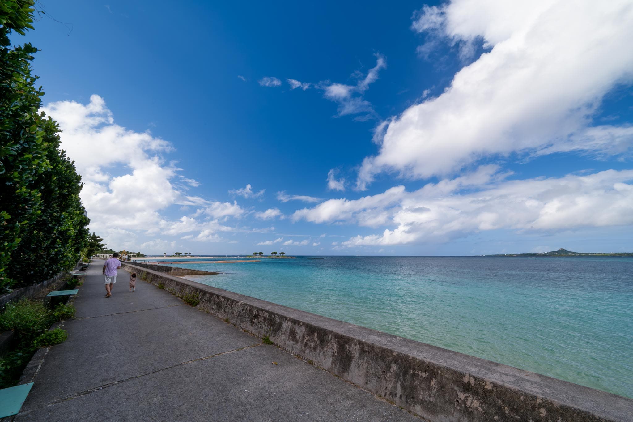 比塞海岸