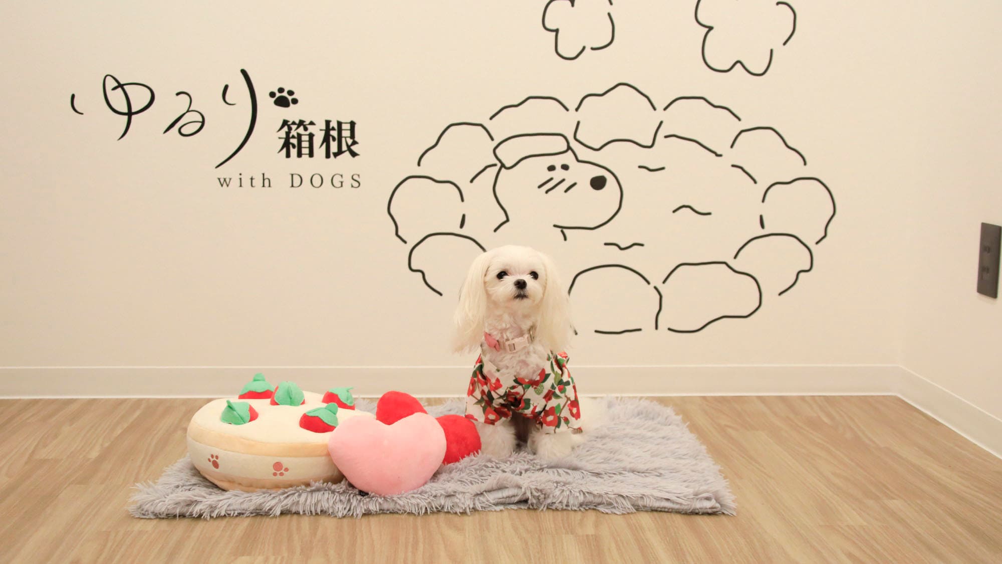 [Photo Studio] Take lots of commemorative photos