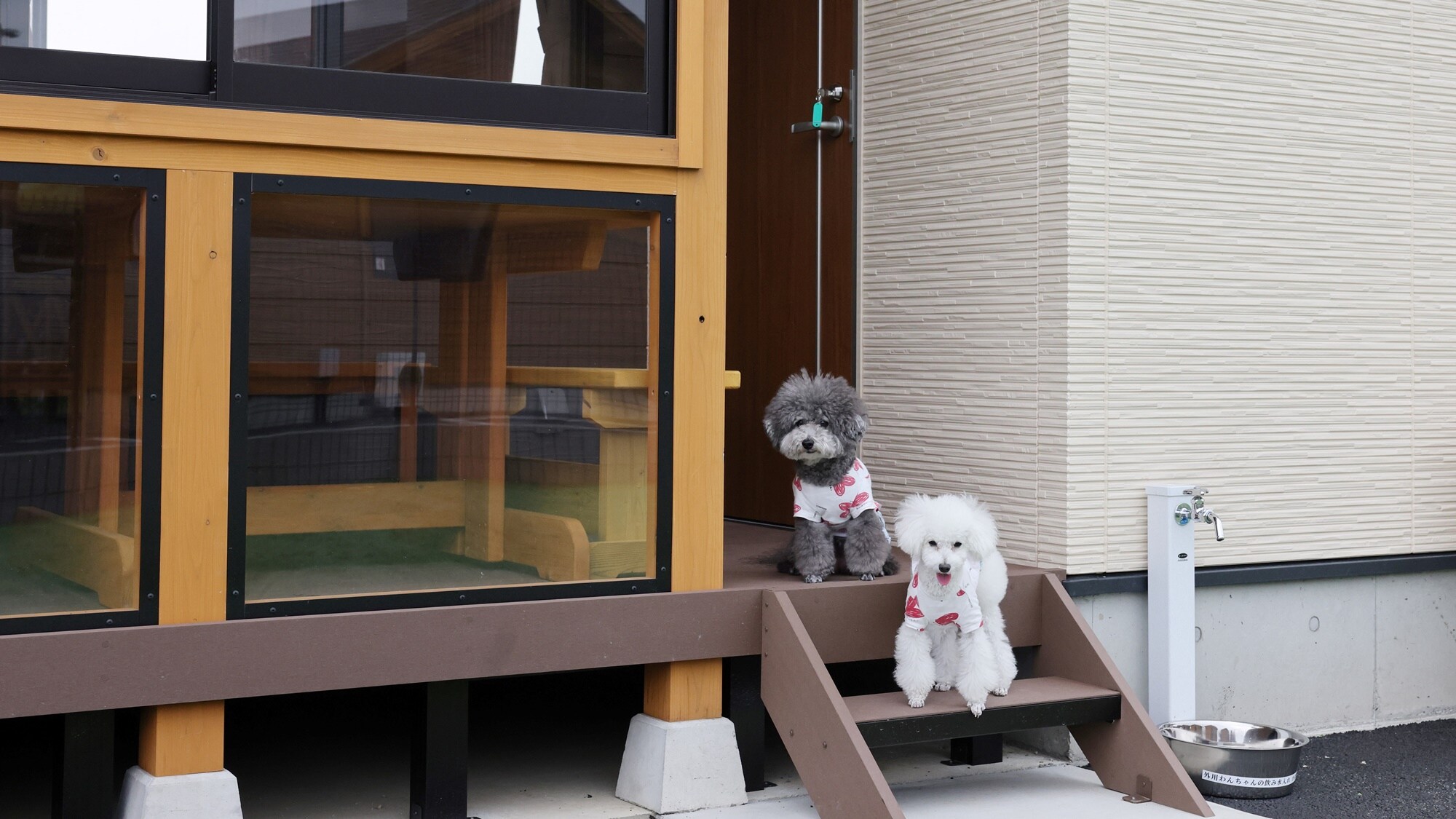 *A cottage with a private dog run. Dogs are allowed to run around freely inside the cottage (diapers required).