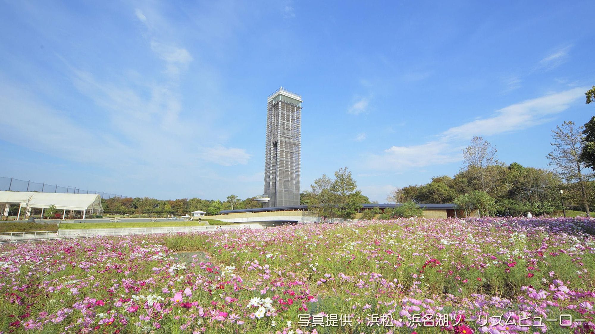哈馬納湖花園公園（距離約35分鐘車程）