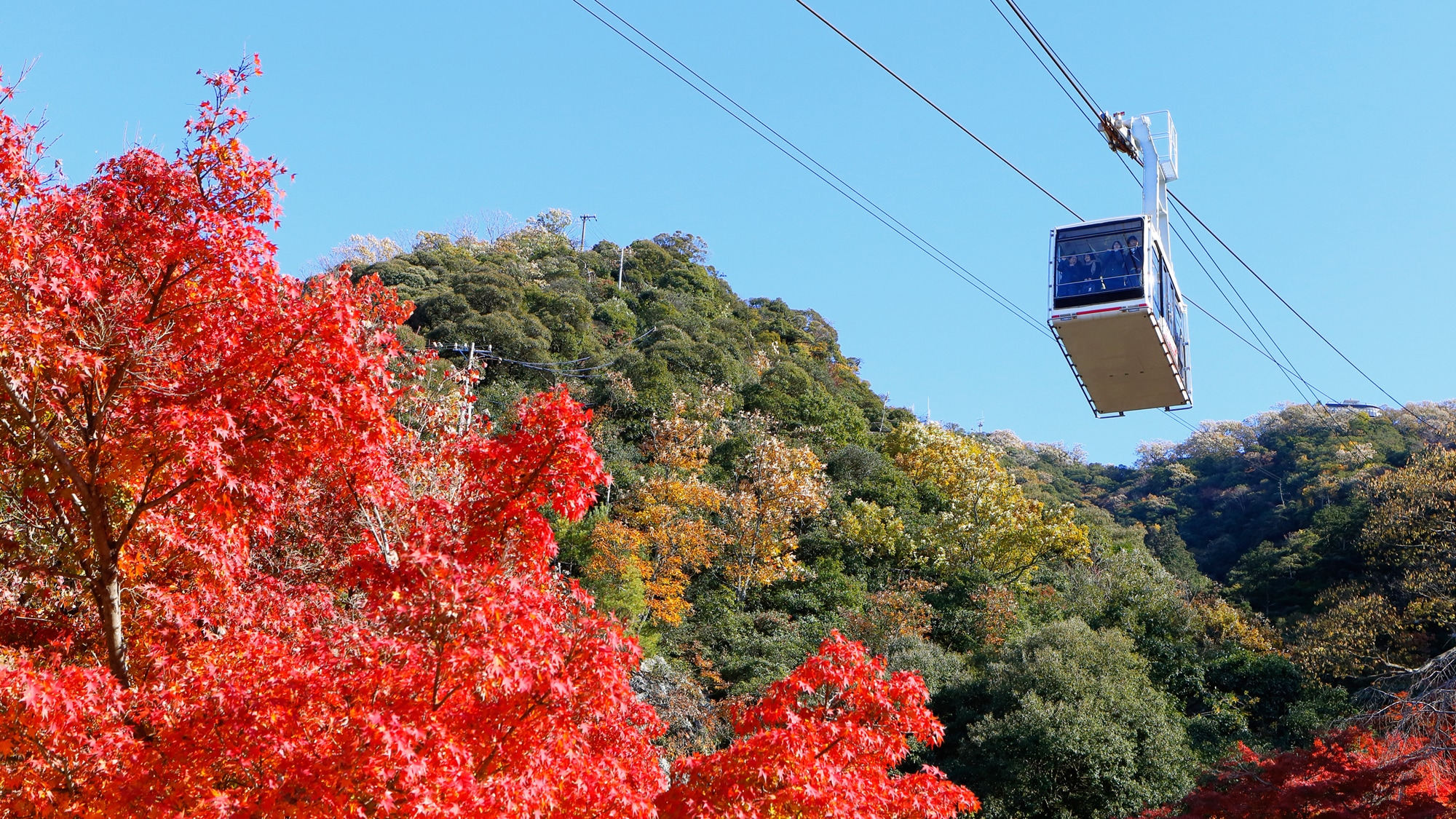 ◆Kinkazan Ropeway (approximately 15 minutes by car)◆