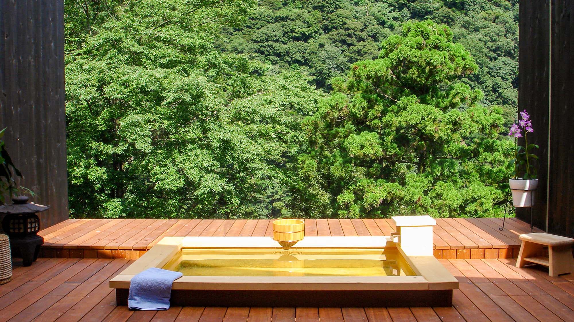 ・Relaxing time while bathing in the forest. Please enjoy the dynamic scenery that spreads out before your eyes.