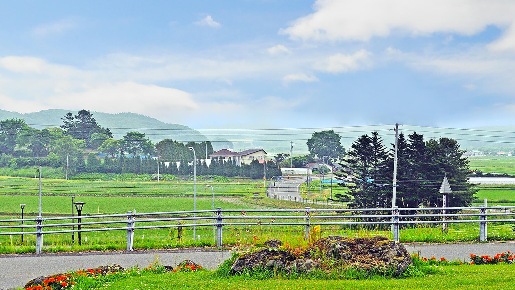 [Nearby] Peaceful scenery surrounded by greenery
