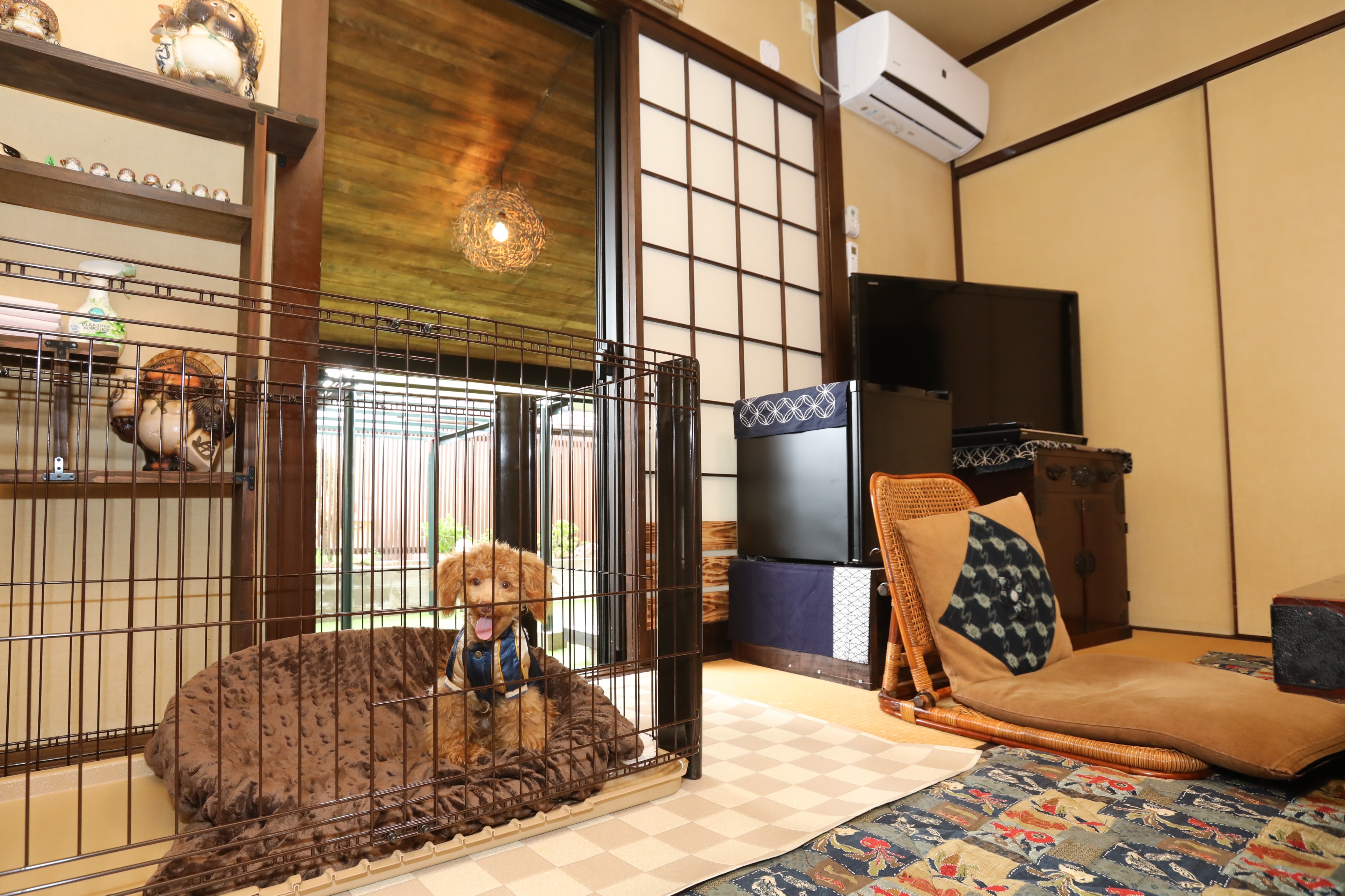 This is the cage installed in the room (60cm long x 127cm wide x 68cm high).