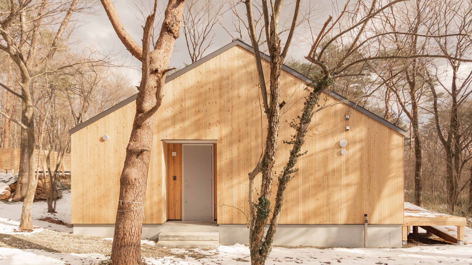 MUJI pet_外观(示例)