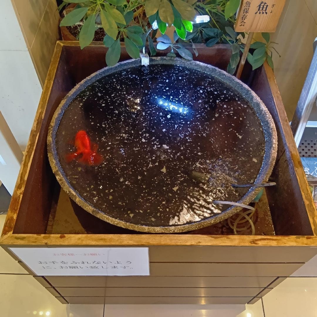 1000061899.jpg