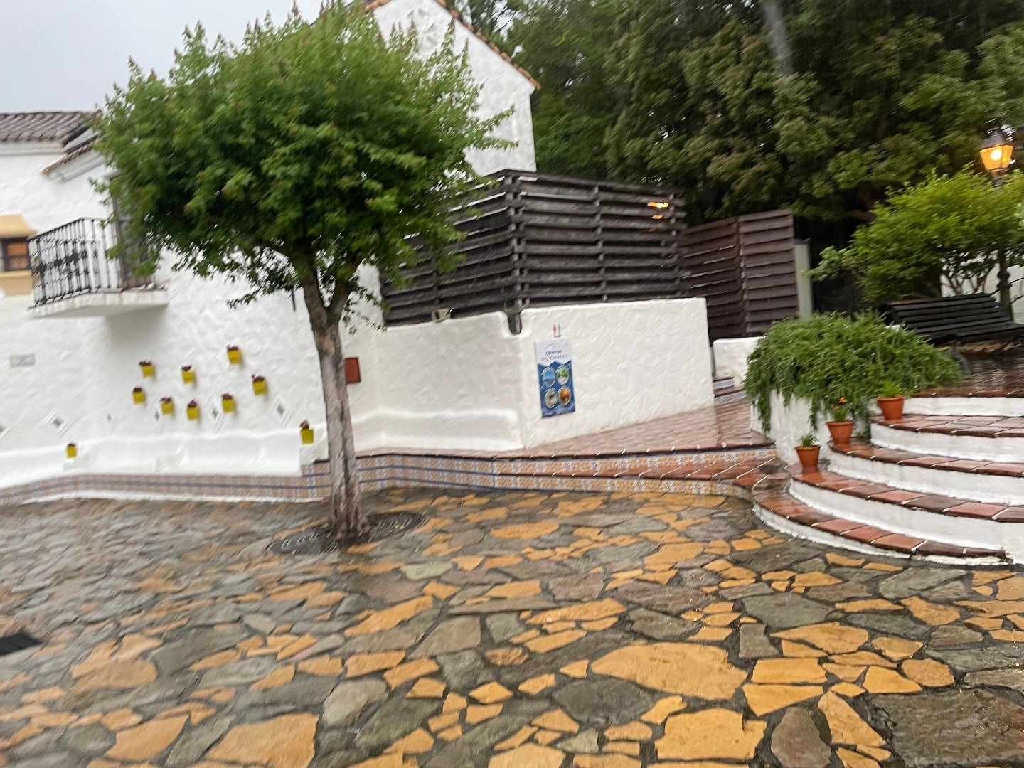 IMG_2076.jpeg