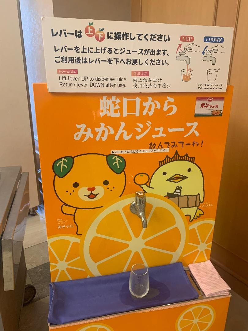 IMG_2051.jpeg
