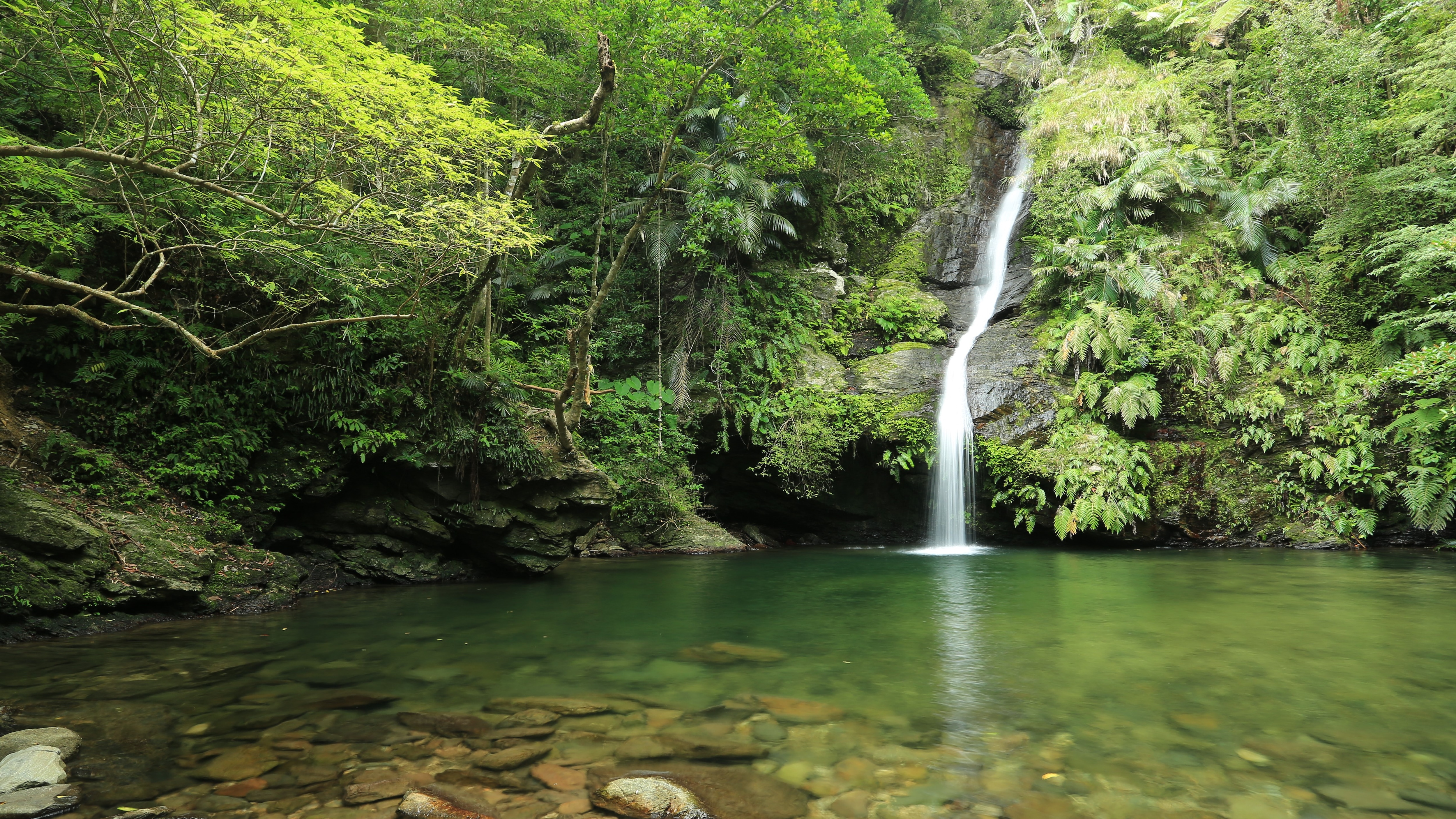 Eco Tours