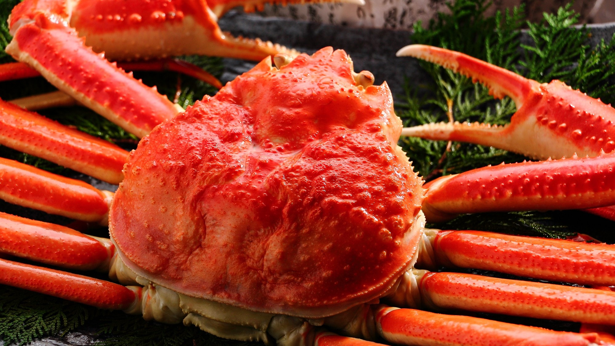 Special order: 1 whole snow crab *For illustration purposes only
