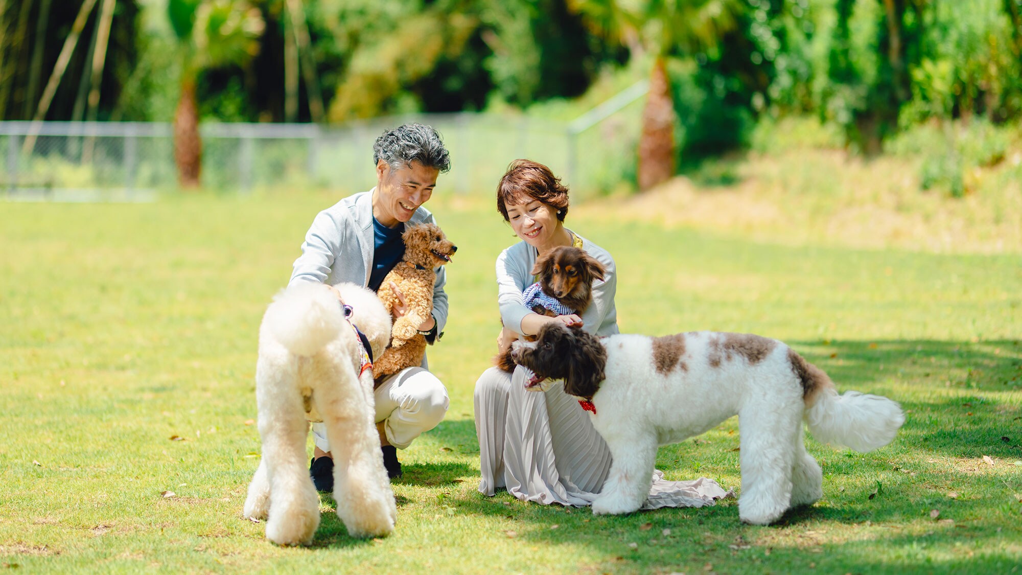 [Dog run] You can run around freely without a leash. Please enjoy playing with your dog to your heart's content.