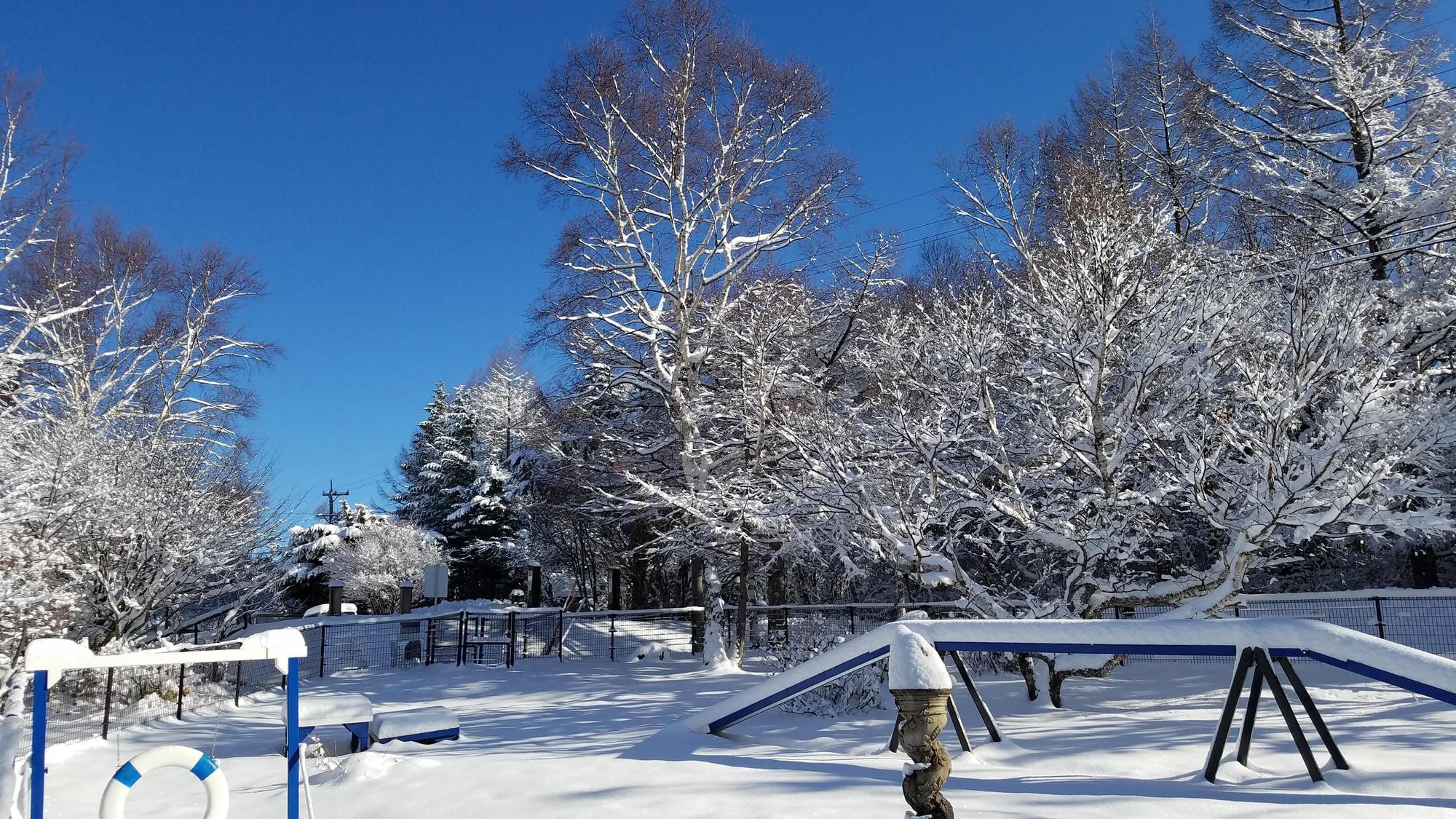 A Dog Park under a blue sky and covered in snow.