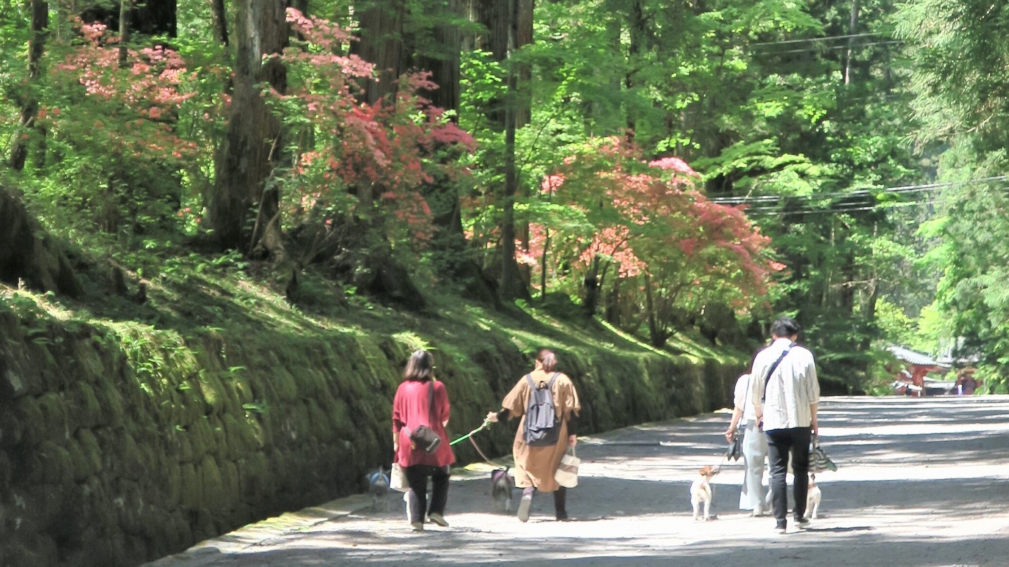 Toshogu Shrine