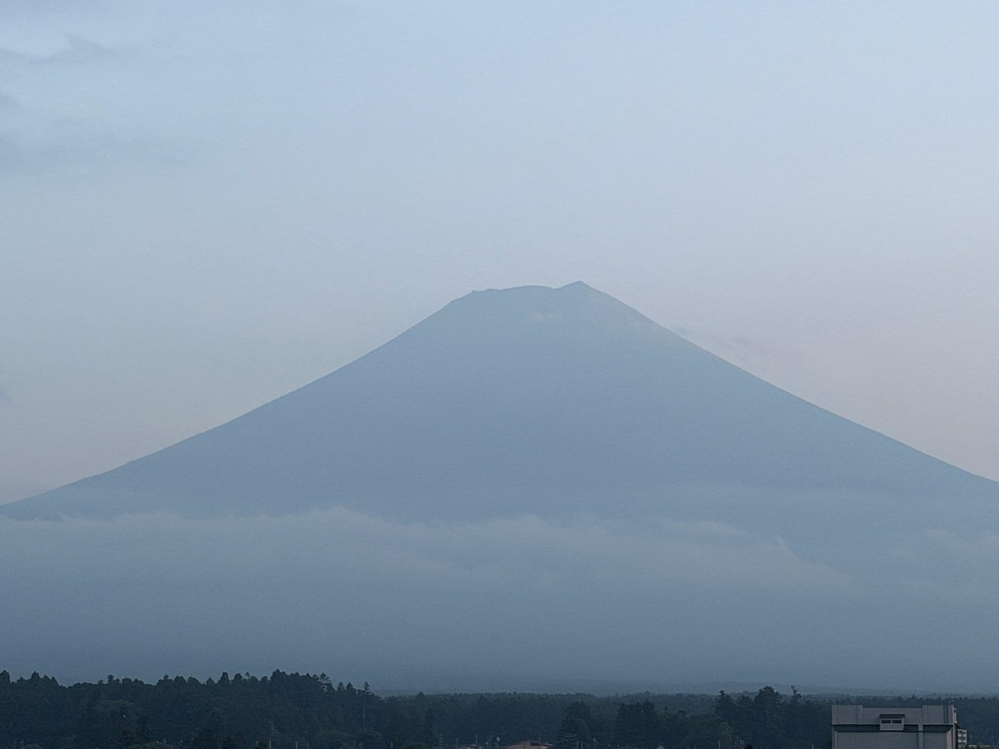 4CFF0592-AC63-4AC1-B1EE-0D6083CCE987.jpeg