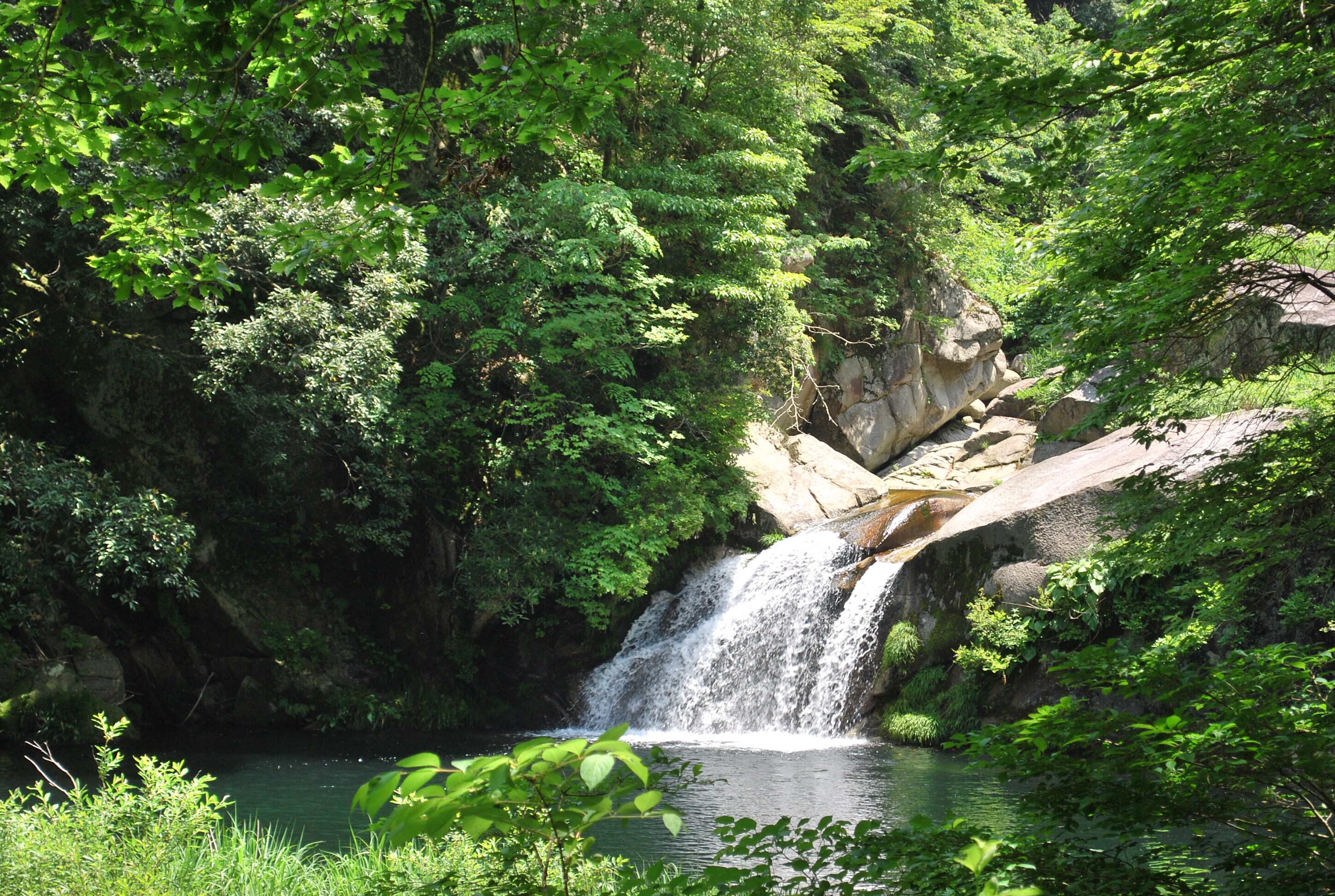 Ojikakei
