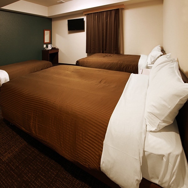 Twin room + sofa bed [2 120cm wide beds + 1 sofa bed]