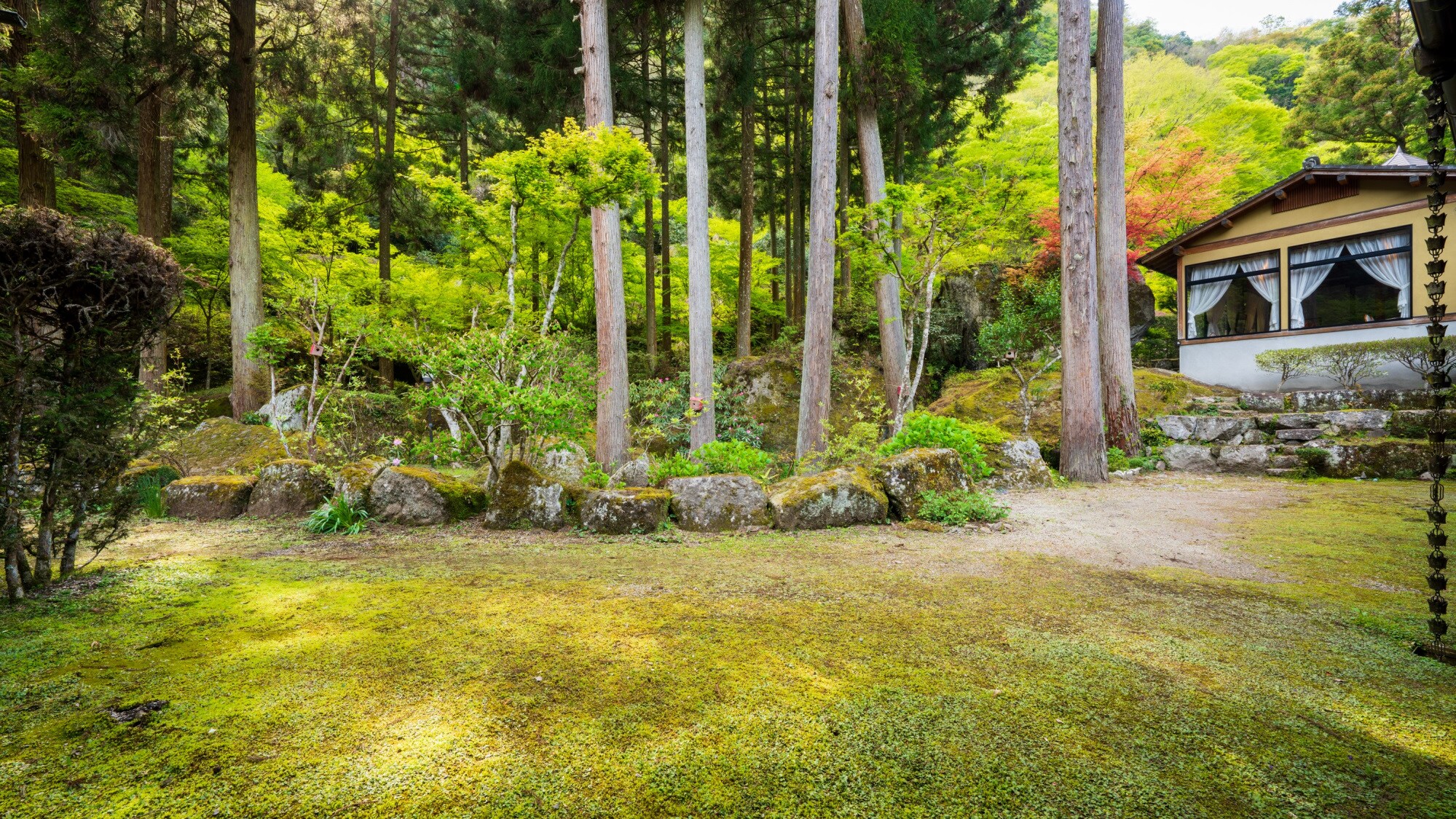 view of the garden