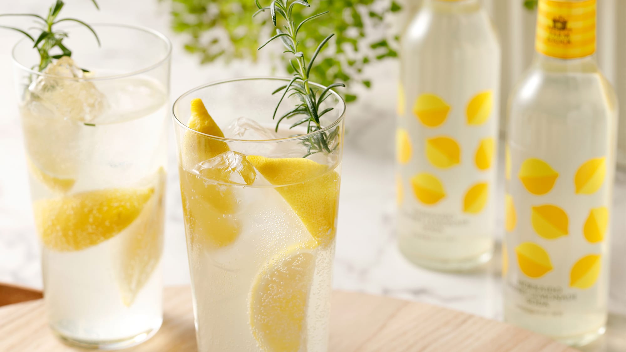 Lợi ích của kế hoạch làm đẹp NORCE FARM STOCK
