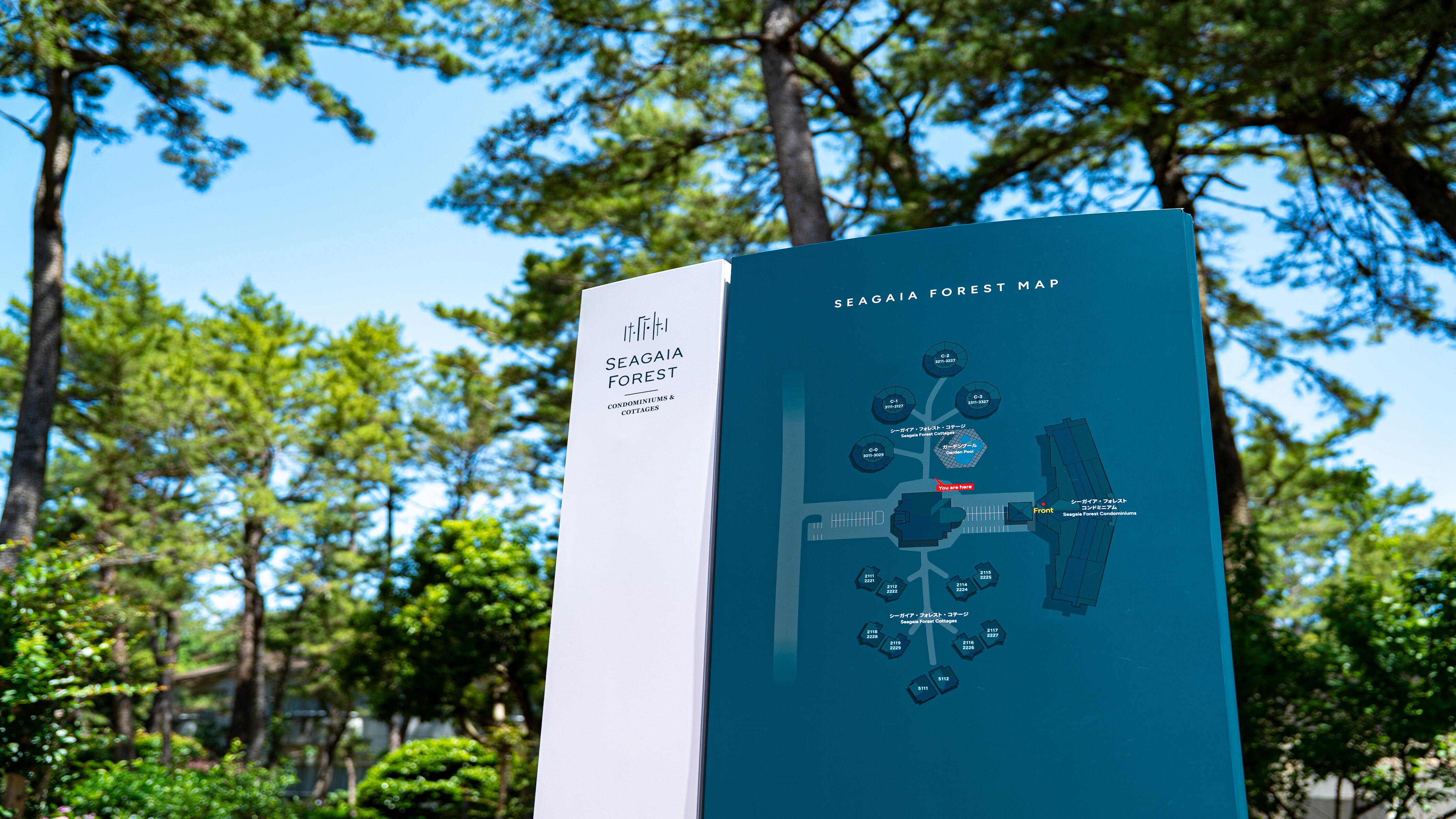 Entrance (information sign)