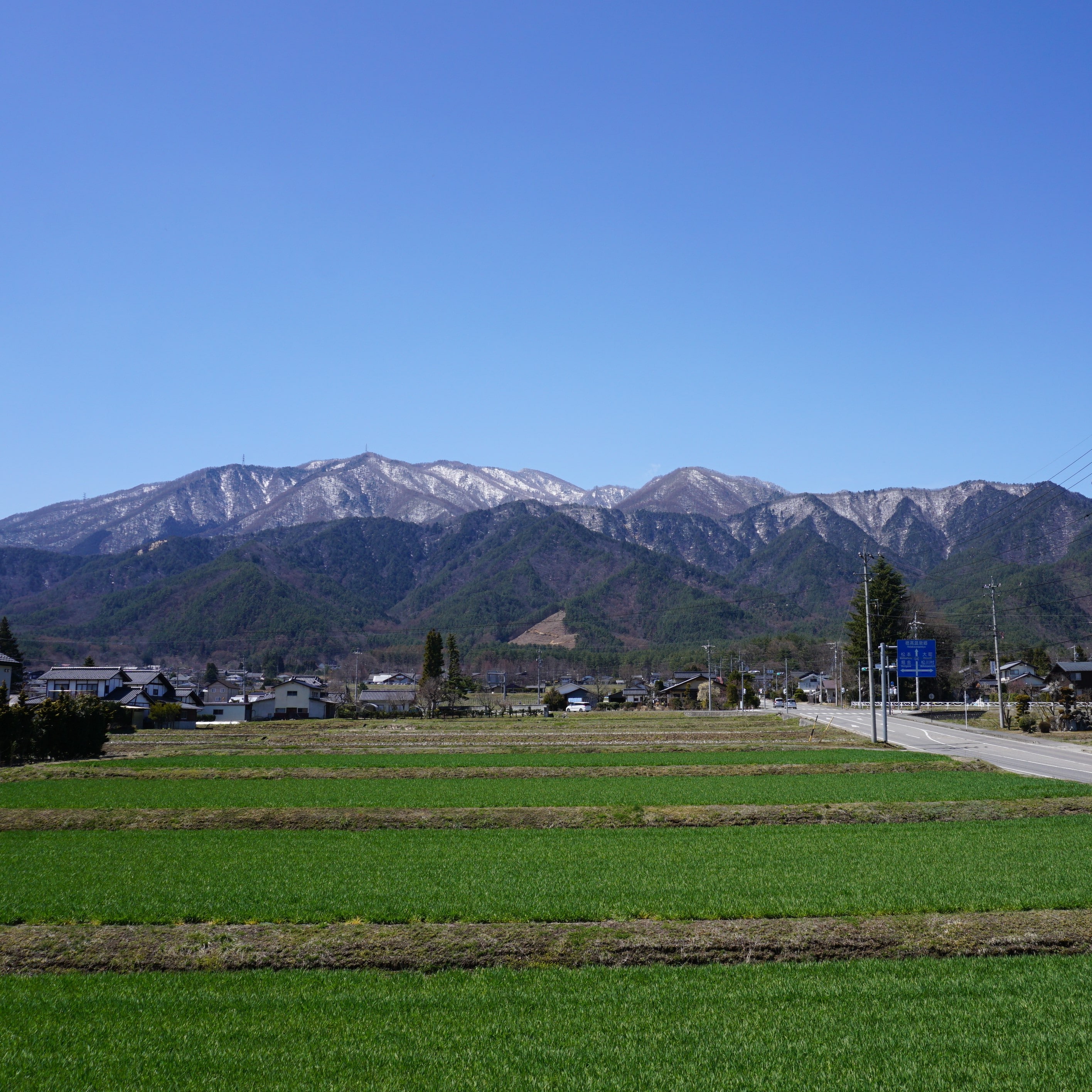 从客房可欣赏到田野美景