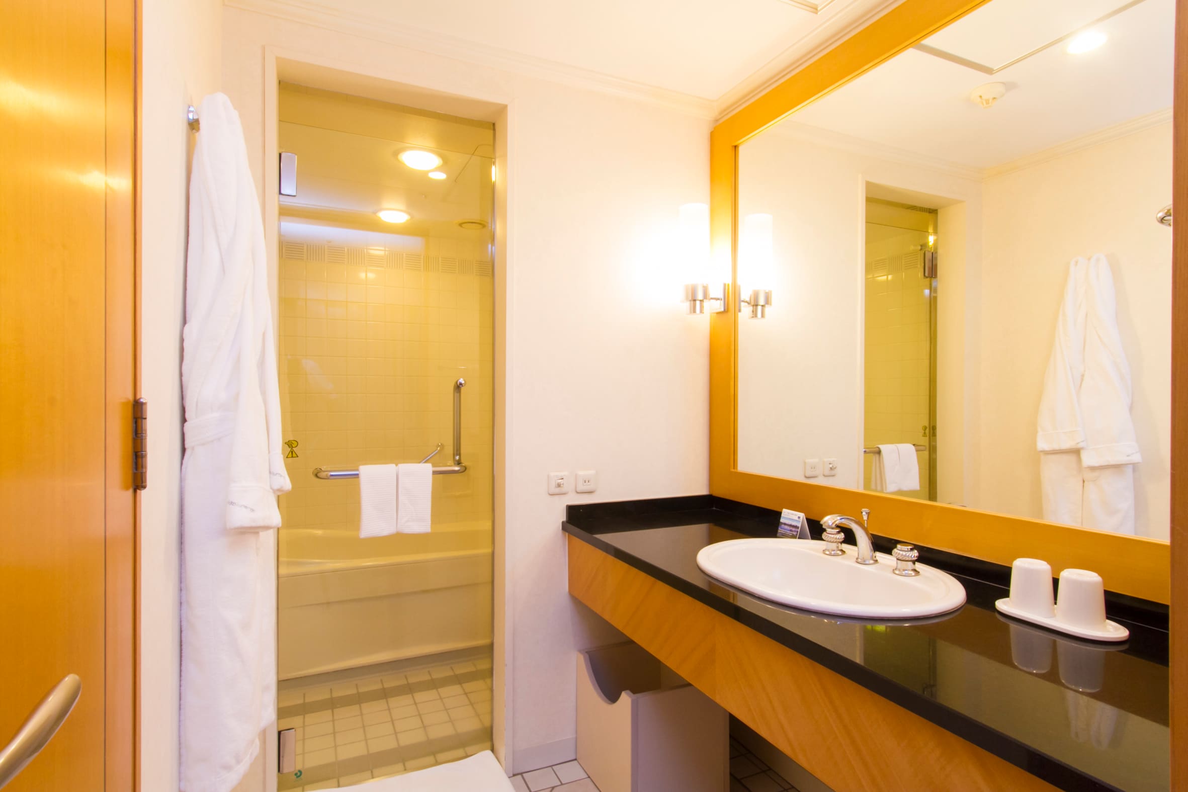 Bathroom (Deluxe Twin, Deluxe King)