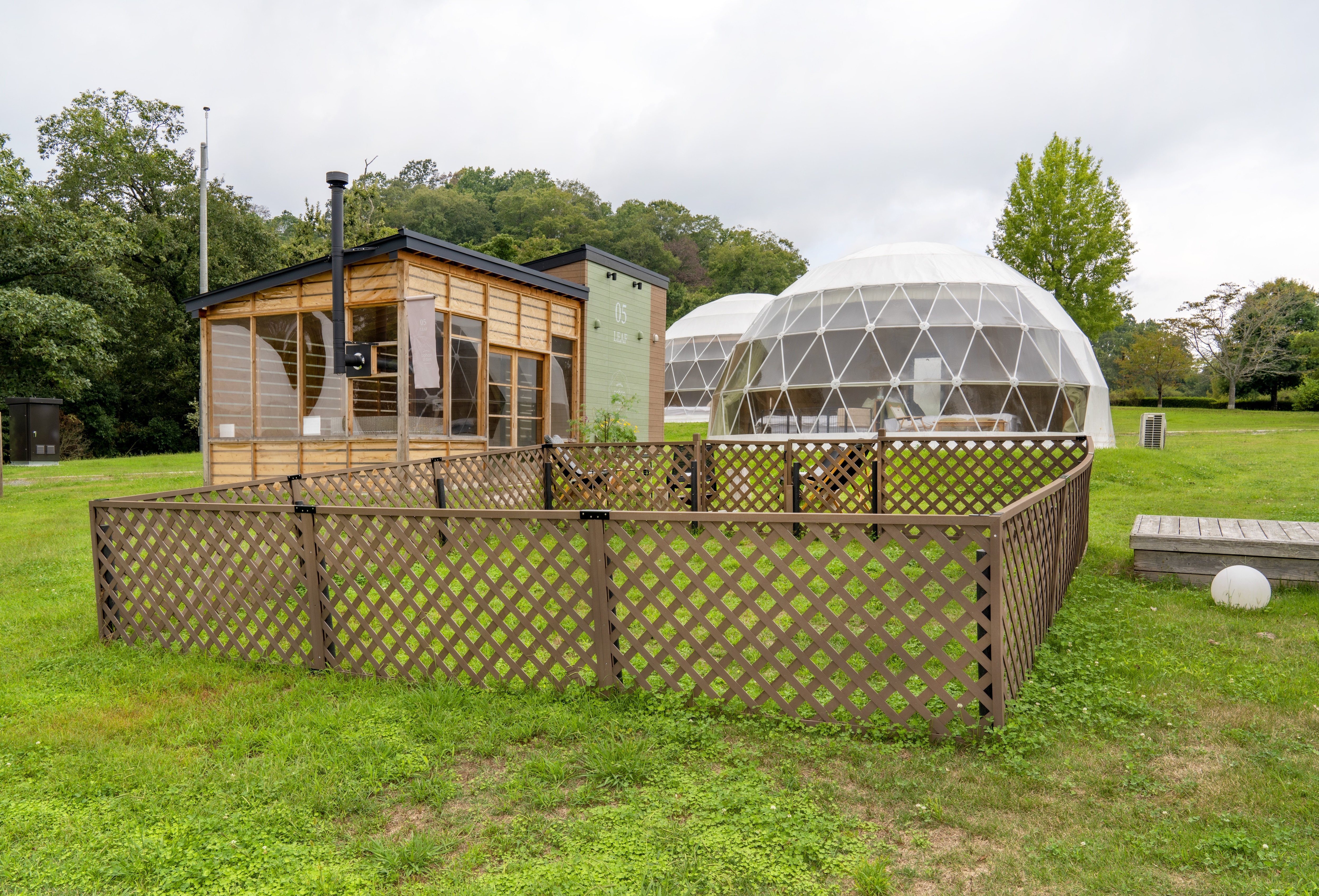 Dog Dome