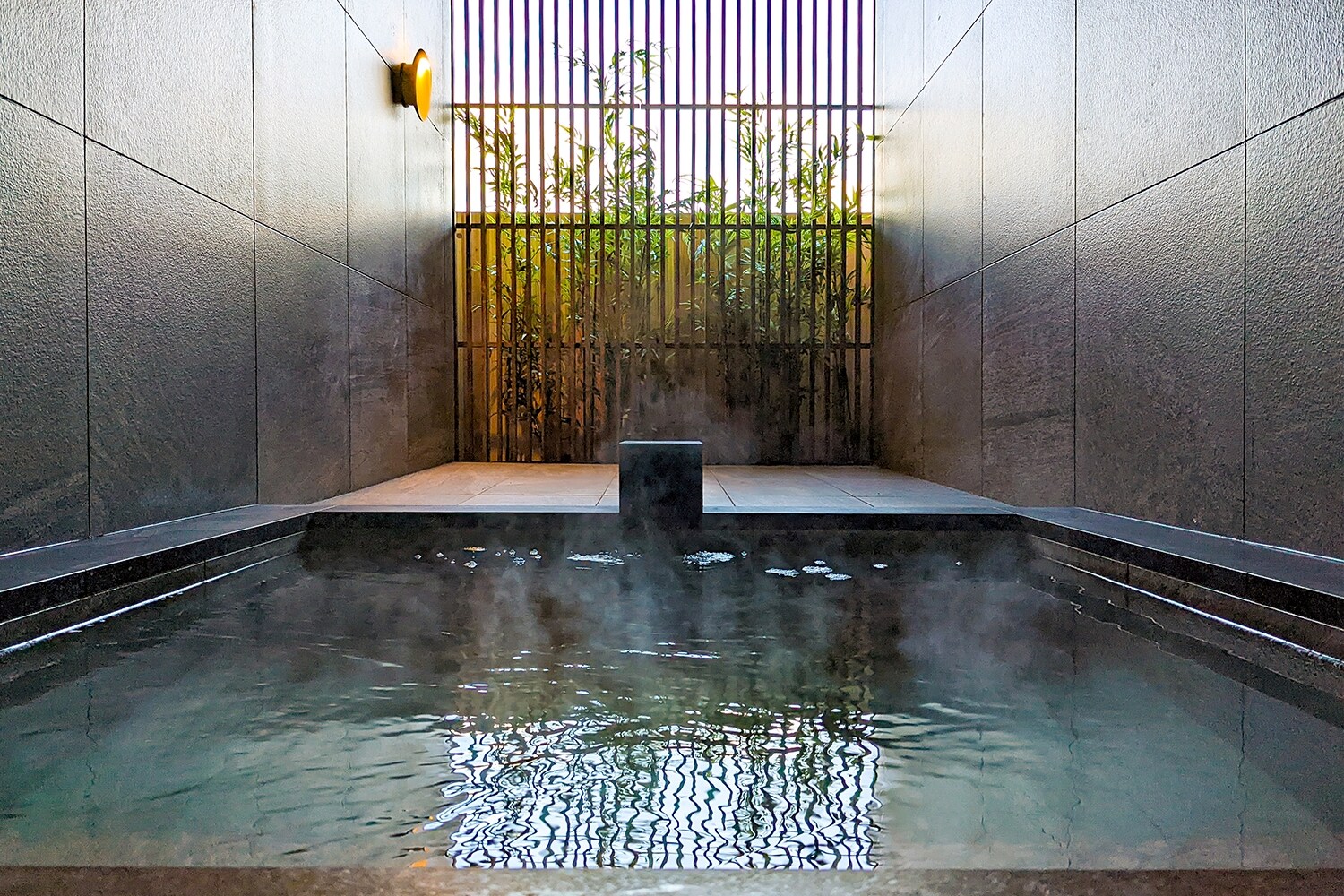 Japanese modern suite