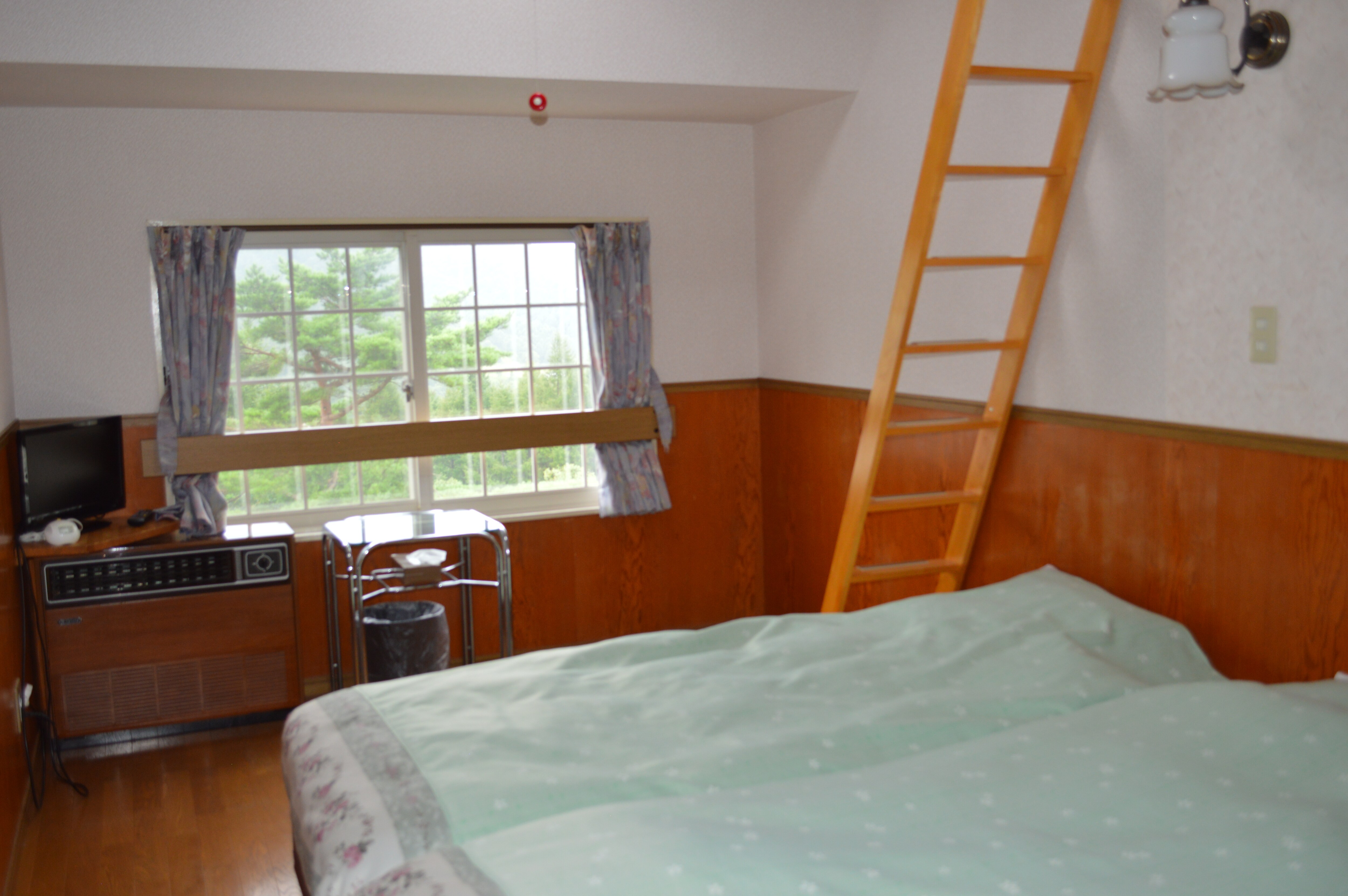 Western-style room with loft