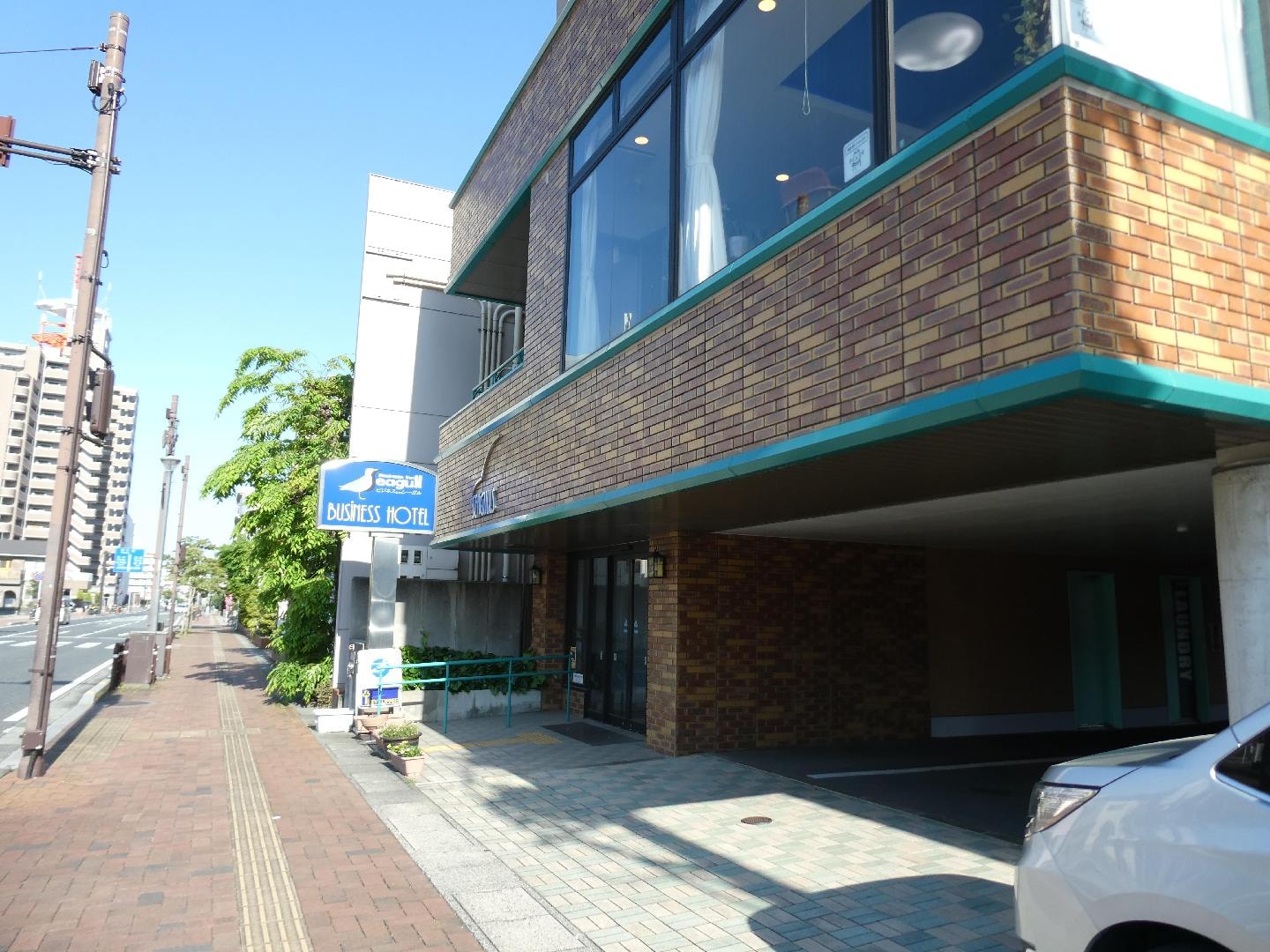 P1134466.JPG