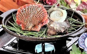 Seasonal seashells