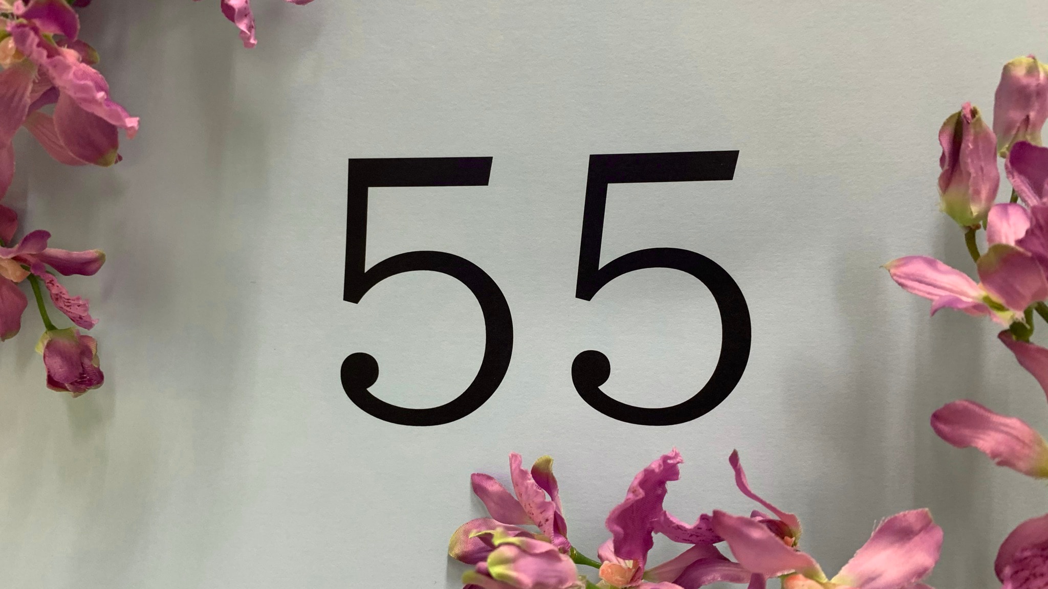 55 55