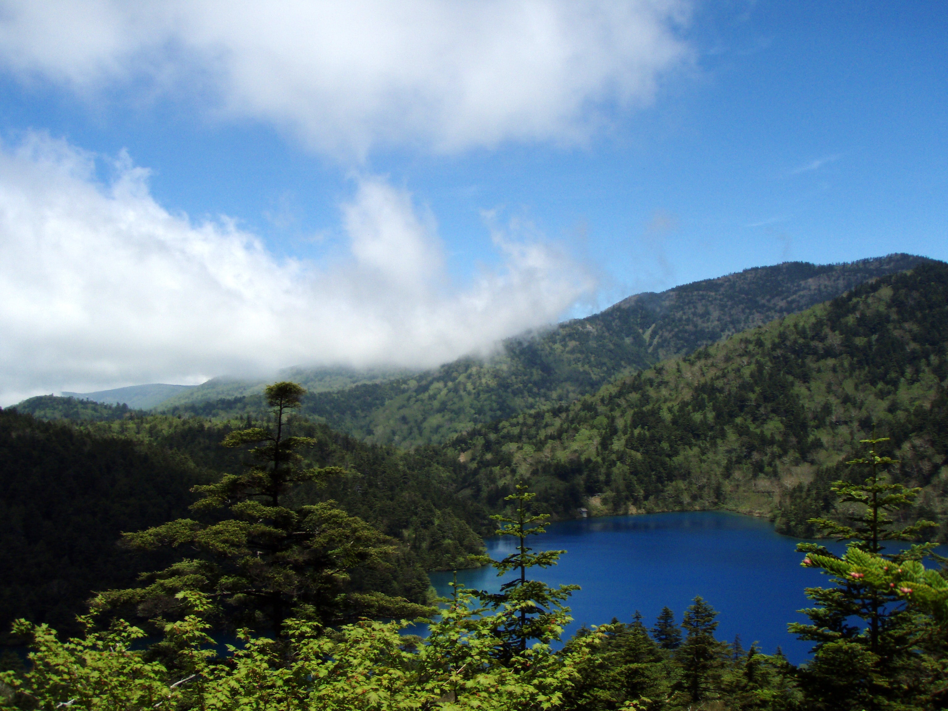 Shiga Kogen in summer