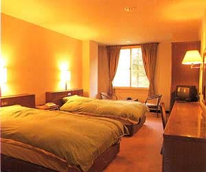Example of guest room: Twin room
