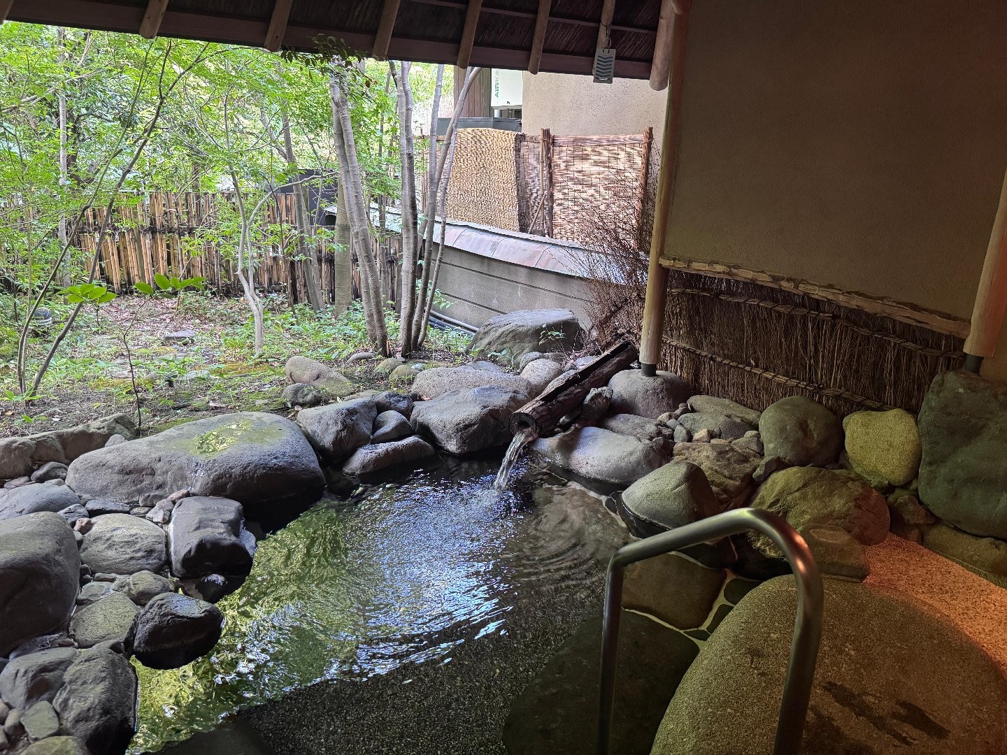 IMG_2929.jpeg