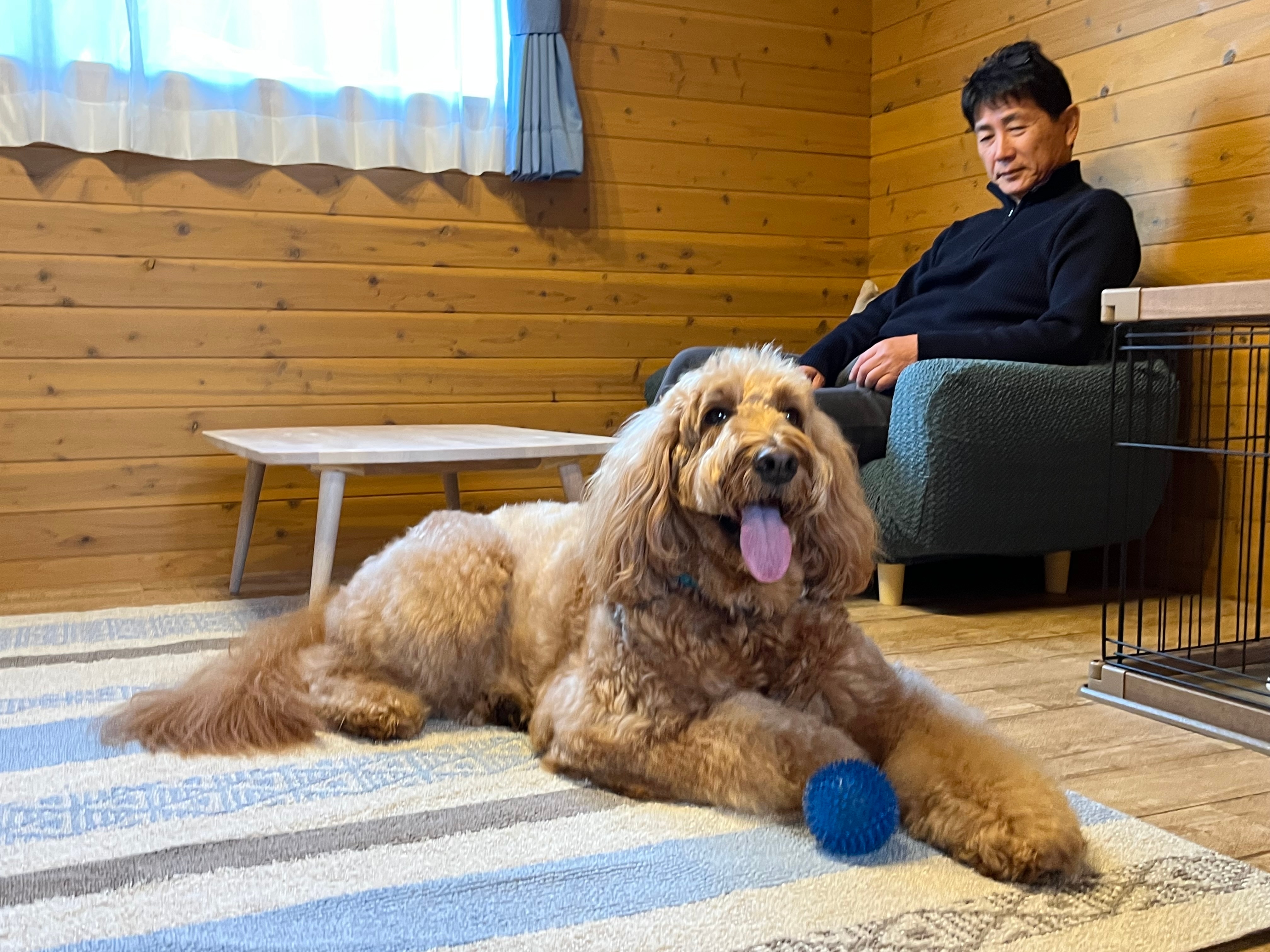 ห้องนั่งเล่นสำหรับสุนัขในกระท่อม